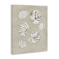 thumbnail image 4 of Stupell Industries Beach Shell Treasures Coastal Painting Gallery Wrapped Canvas Art Print Wall Art, 36 x 48, 4 of 8