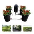 thumbnail image 4 of 5 Gallon/20L PP Hydroponics Grow System with Circular Drip Irrigation Recirculating Deep Water Culture Kit 5 x Planting Buckets+Lids,for Growing Tent, Greenhouse, Garden, Balcony, 4 of 15