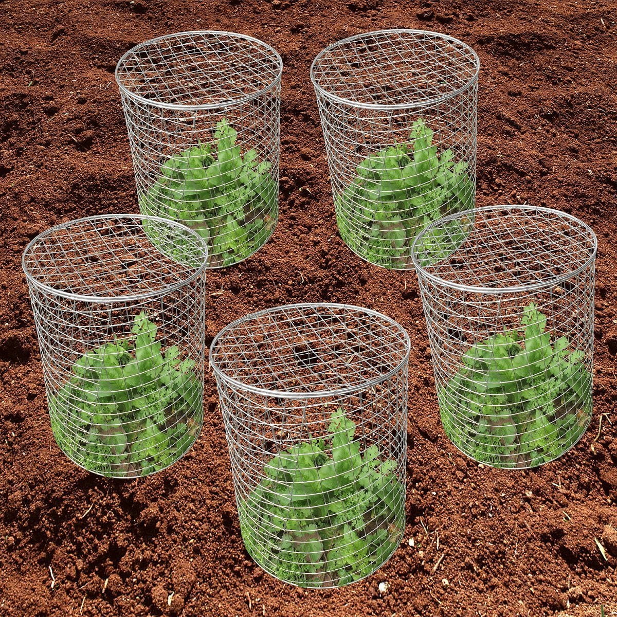 Mr Garden PestPetOff Steel Wire Barrier Mesh Basket, Chicken Wire