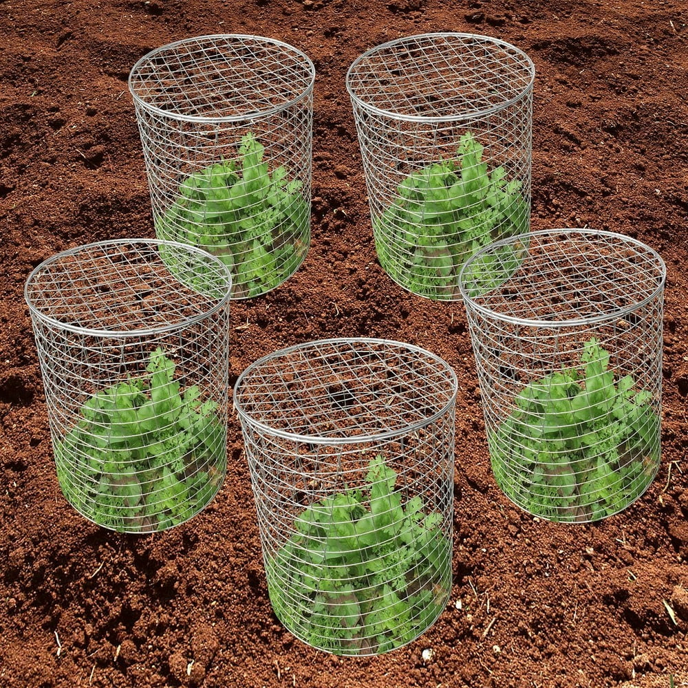 Mr Garden PestPetOff Steel Wire Barrier Mesh Basket, Chicken Wire