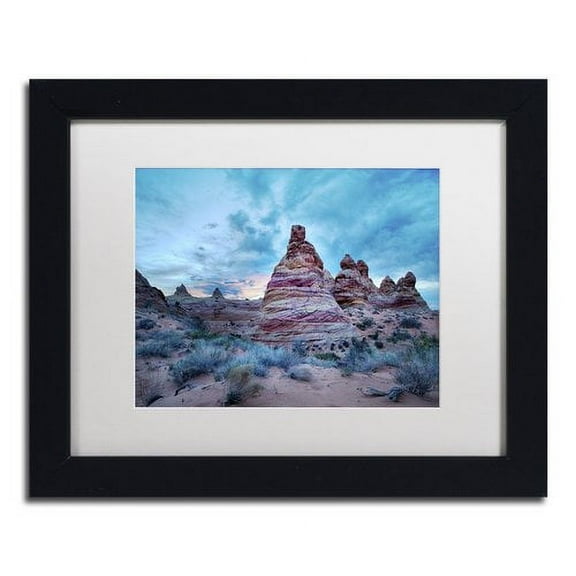 Trademark Fine Art "Cottonwood I" Canvas Art by Moises Levy White Matte, Black Frame