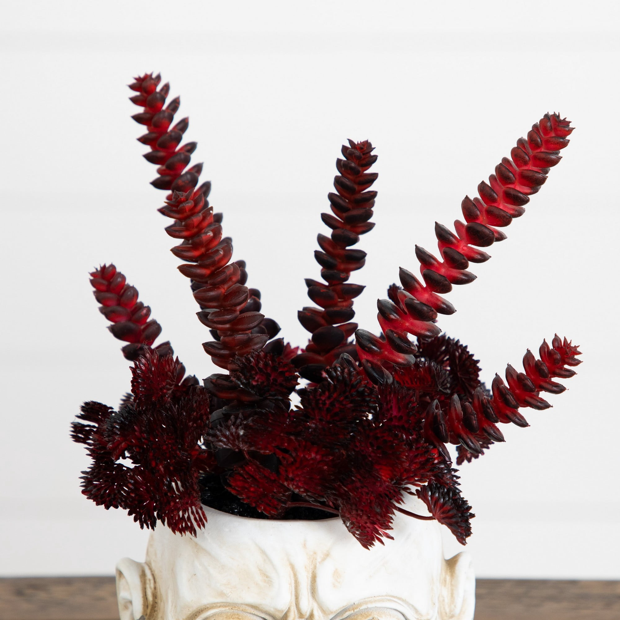 10in. Artificial Halloween Succulent Plant in Zombie Halloween Planter
