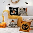 thumbnail image 4 of Set of 4 Halloween Pillow Covers 18x18 Inch Trick or Treat Pumpkin Decor Throw Pillow Covers Black Halloween Cushion Covers Linen Square Pillow Cases for Home Outdoor Sofa Couch (18 by 18), 4 of 6