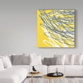 thumbnail image 3 of Trademark Fine Art 'Brighter Nest Close Mixed' Canvas Art by Christine O’Brien, 3 of 3