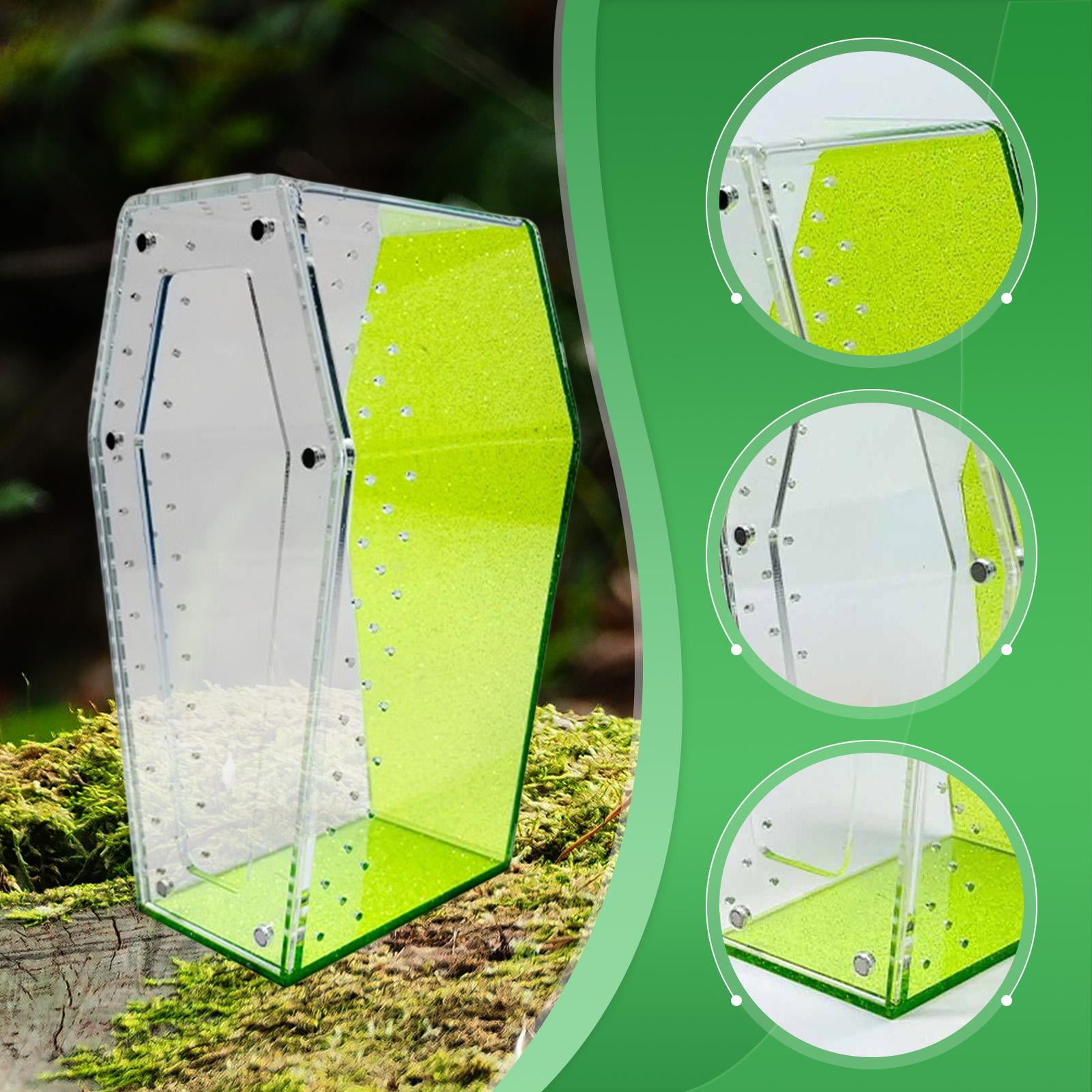 Reptile Terrarium Tarantula Enclosure Jumping Spider Cage 360 Degree Clear Acrylic for Pet Observation