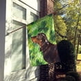 thumbnail image 2 of Black and Tan Dachshund St. Patrick's Flag Canvas House Size BB9545CHF, 2 of 4
