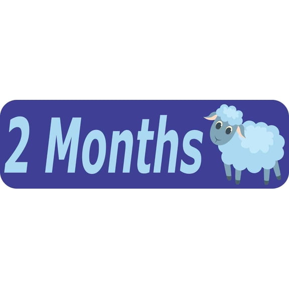 10in x 3in 2 Month Sticker Baby Boy First Year Vinyl Window Decal Stickers