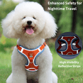 thumbnail image 5 of Levviye Dog Harness and Leash Reflective Breathable Set - Adjustable Vest Style for Walking, Orange M, 5 of 7