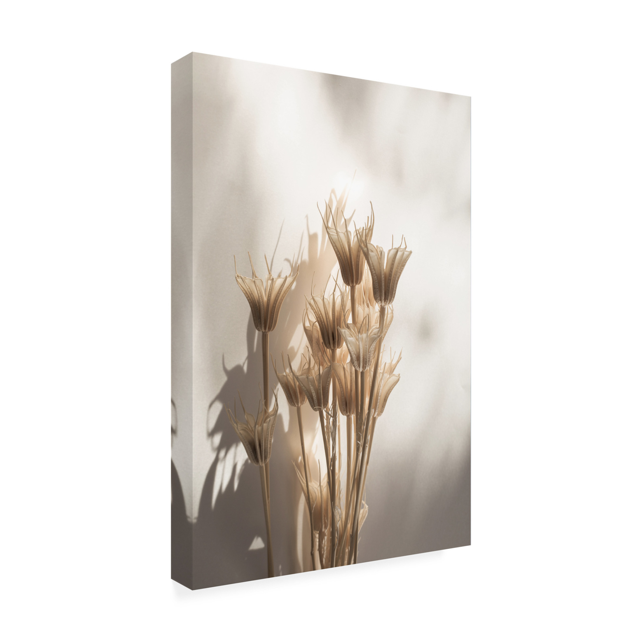 Trademark Fine Art Mareike Bohmer  Last Summer 27 Canvas Wall Art