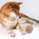 thumbnail image 3 of Pelota Rascadora para Gatos Fernando 2 piezas cuerda Resistente Al desgaste, 3 of 8