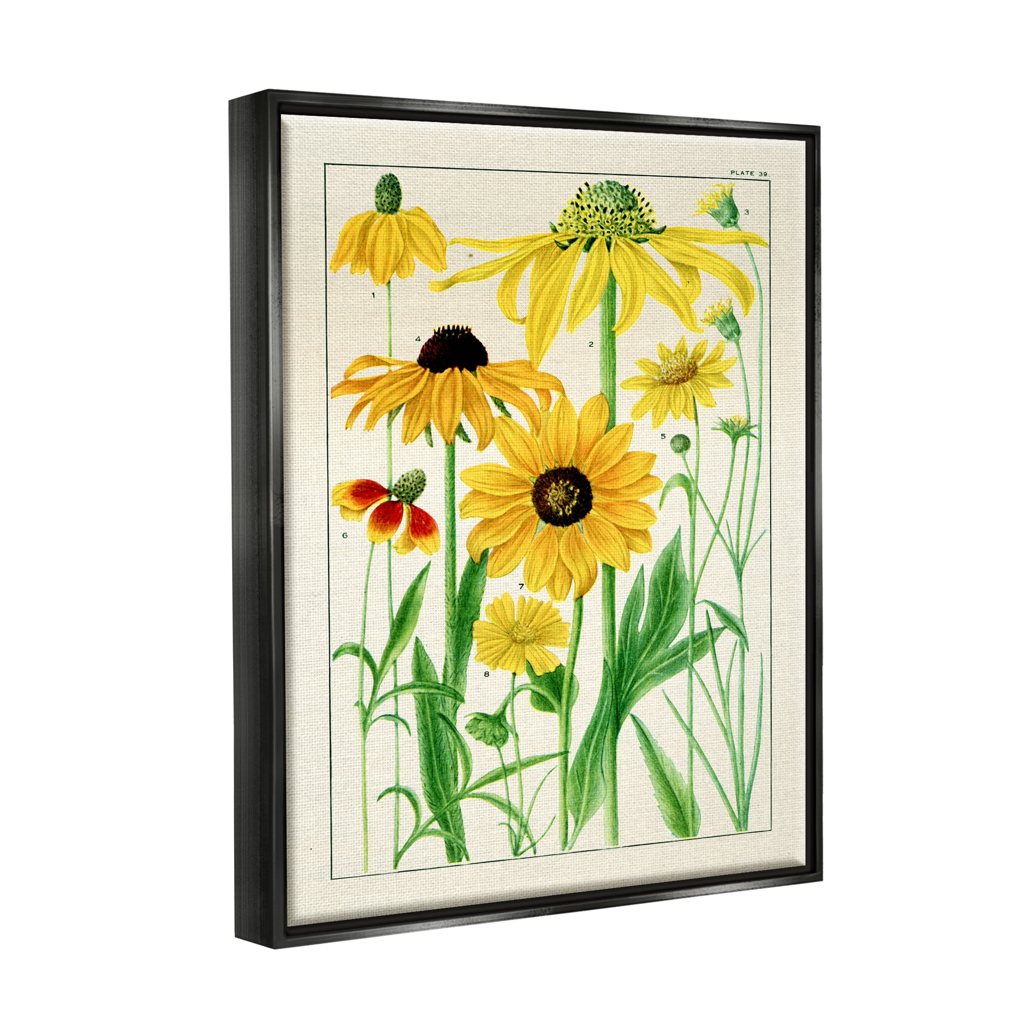 Stupell Industries Vintage Yellow Daisies Botanical & Floral Painting Black Floater Framed Art Print Wall Art, 17 x 21
