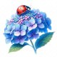 thumbnail image 1 of 5D DIY Taladro Diamante Pintura Hortensia Kit Del Arte 30x30cm, 1 of 9