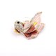 thumbnail image 1 of Broches para niñas, lindo color de diamantes de imitación, peces de colores, perlas, peces, broches de animales, broches delicados de moda, accesorios, joyas para mujeres nupciales, 1 of 8