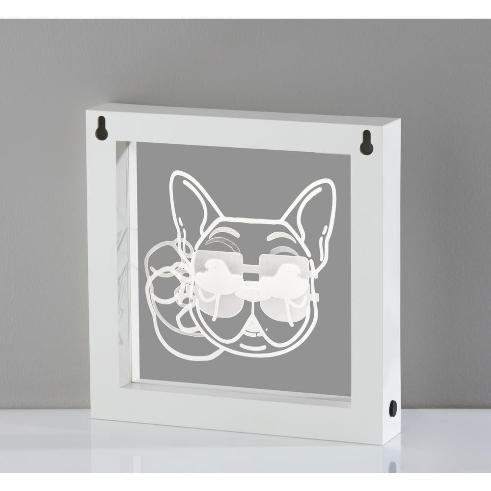 Simplee Adesso Cool Dog Video Light Box