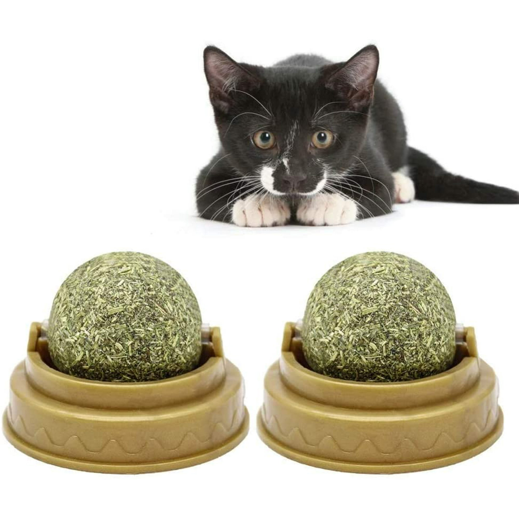 Cat energy nutrition ball deals