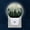 A1847, variant on Night Light Plug into Wall,Dusk to Dawn Sensor Auto-On/Off for Bathroom, Hallway,Kids Room-Lemon Tree Branches With Lemons And White Flowers