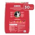 IAMS Proactive Health Minichunks Lamb and Rice Recipe Dry Dog Food, 30