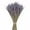 Purple, variant on WBQ Dried Lavender Flowers Bundles 100% Natural Real Dry Flower for Home Decorations,Home Fragrance 350+ stems
