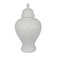 thumbnail image 1 of Tarro Benzara Deni Temple de 45 cm, estampado, tapa blanca, 1 of 6