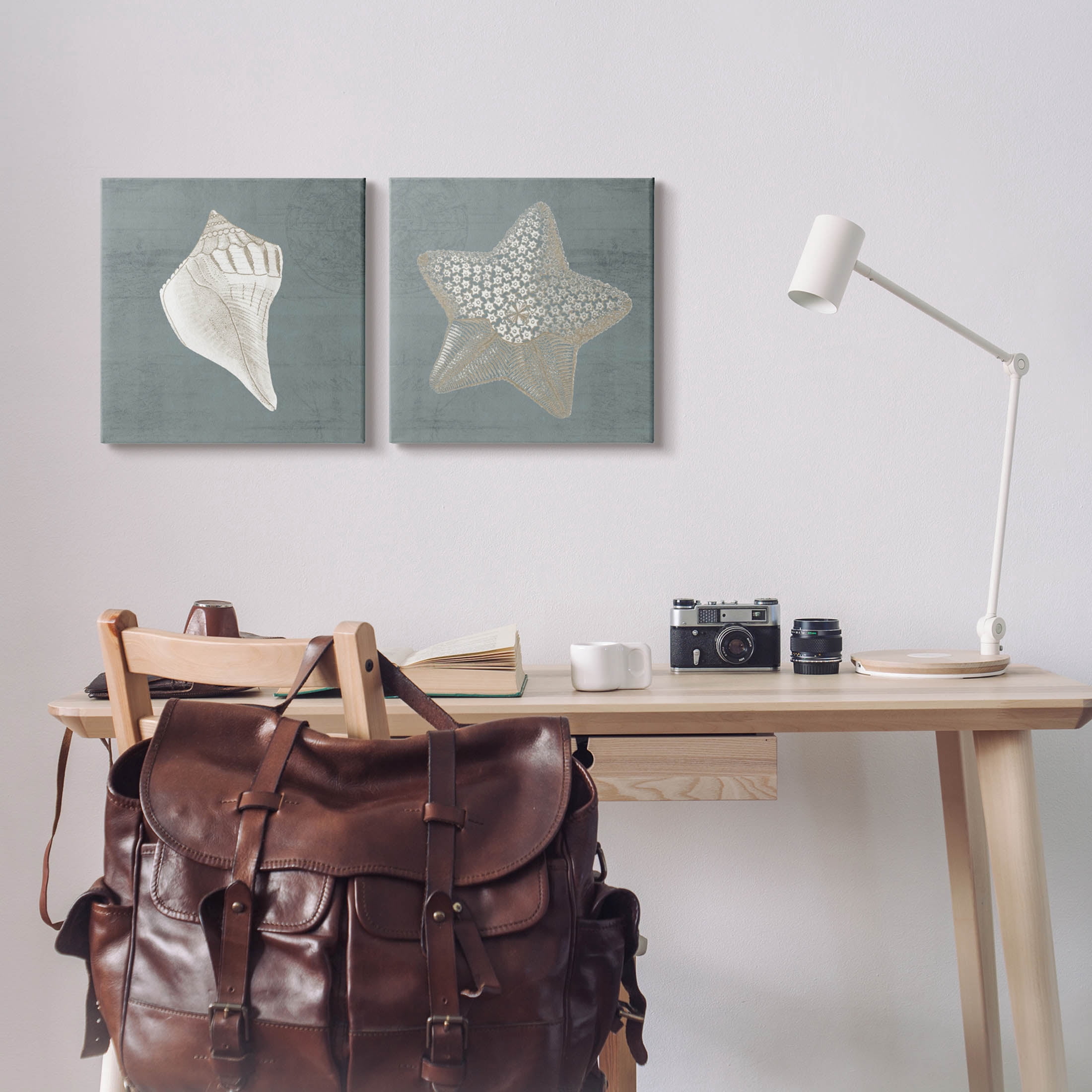 Sea Life Conch Starfish Nautical Animals & Insects Graphic Art Gallery Wrapped Canvas Print Wall Art, Set of 2
