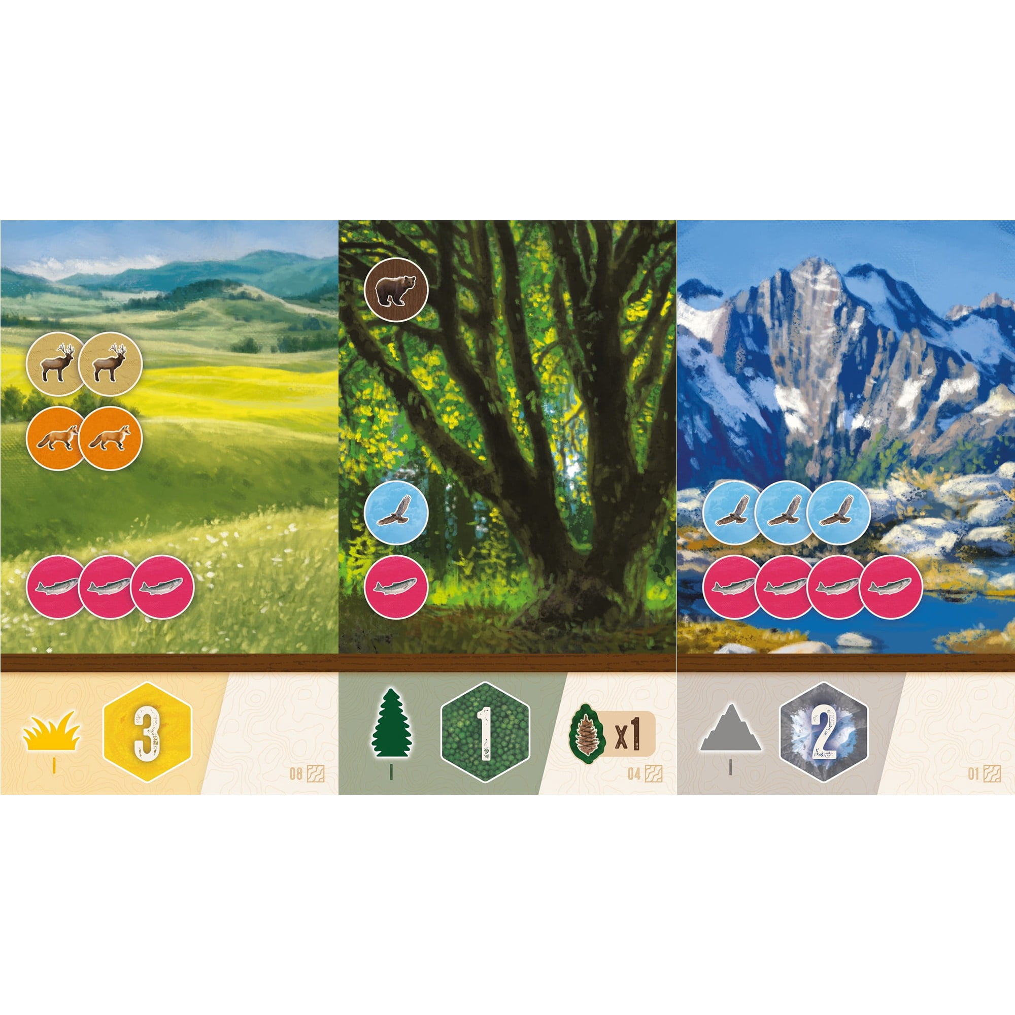 AEG: Cascadia: Rolling Rivers - Puzzly Flip-Roll-Write Board Game, Build Ecosystems, Explore PNW Nature & Wildlife, Ages 10+, 1-4 Players, 30 Mins