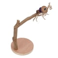 thumbnail image 3 of Bird Perch Natural Stick,  Standing Stick Detachable Safe Stable Natural  For Parrots For Birds, 3 of 8