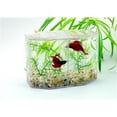 thumbnail image 2 of BETTA HEX, DUAL, 2 of 4