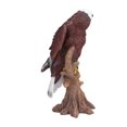 thumbnail image 3 of Adornos De Resina De águila, Escultura De Simulación Estilo Rural Decorativo Realista Para Escritorio Para Césped, 3 of 8