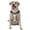 Without Accessories, variant on Vsdgher Cartoon Labrador Retriever Pattern Dog Harness,No Pull Pet Harness with Soft Padded Handle,Adjustable Reflective Vest with 2 Buckles,4 Slide Buckles,S-XL X-Large