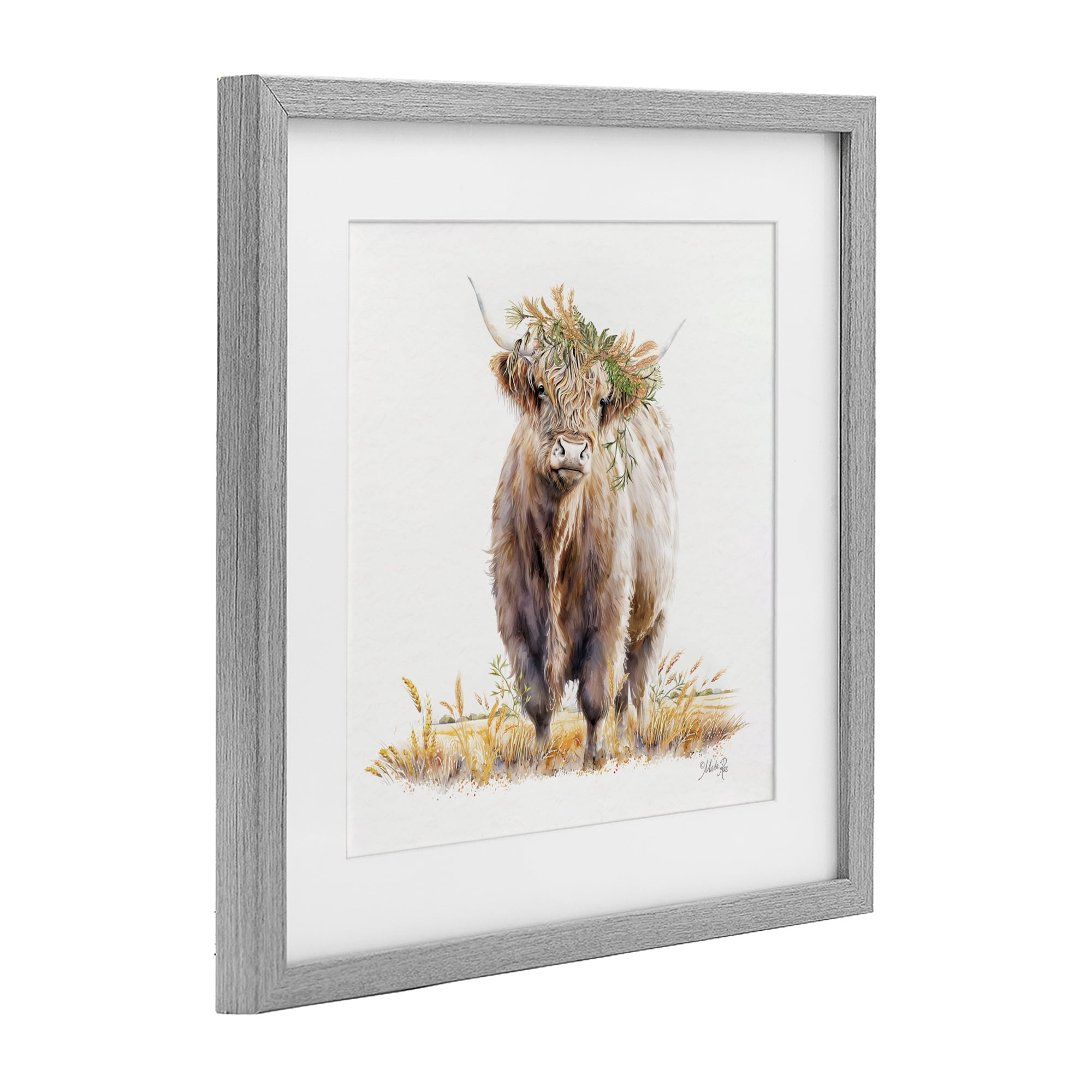 Stupell Industries Ollie the Highland Cattle Gray Framed Print Under Glass, design by Marla Rae