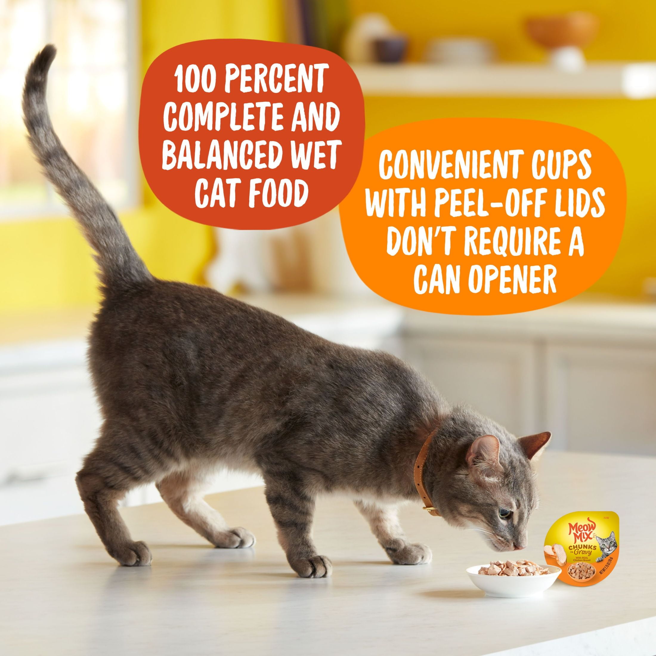 Meow Mix Chunks in Gravy Wet Cat Food With REAL Chicken Breast, 2.75 oz Cup (Packaging And Formulation Updates Underway)
