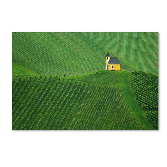 Trademark Fine Art 'Calmness' Canvas Art by Jure Kravanja