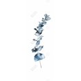 thumbnail image 3 of Eucalyptus Feuilles Bleues - Toile 16"x48 Pouces - Impression à la Demande, 3 of 5