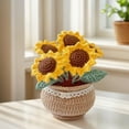 thumbnail image 5 of Lotpreco Diy Flower Potted Crochet Kit Cute Plants Hand-knitted Tool for Kid (Sunflower), 5 of 9