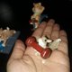 thumbnail image 3 of Adorno de cerdo bonito, figuras de animales de conejo, ardilla, gato, serie de ejercicios, manualidades de resina, decoraciones de mesa - A, 3 of 5