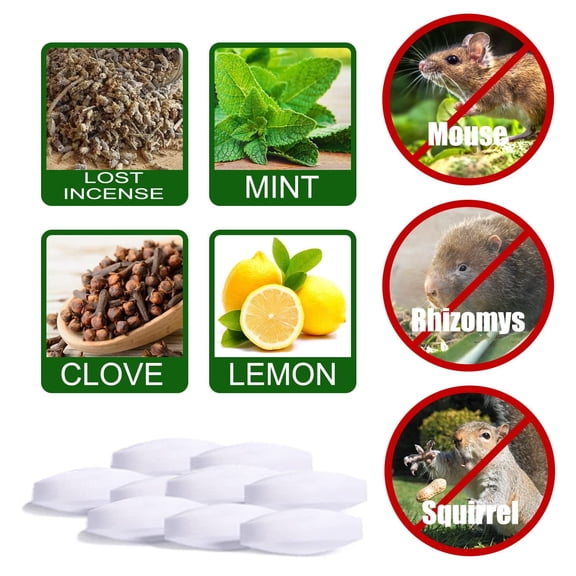 40PCS Rat Repellent Natural Peppermint Oil Rodent Repellent – Keep Mice and Rats Away from Your House Rat Deterrent Indoor