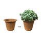 thumbnail image 2 of Taza de vivero de palma de coco maceta de vivero nutritiva maceta de crecimiento de plantas verdes suministros de jardinería maceta de palma de coco ANGGREK  Otros, 2 of 8