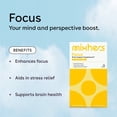 thumbnail image 3 of Mixhers Focus - For Concentration & Brain Health - Brain Health Supplement - L-Theanine - Nutrition for Women - 15 Drink Packets - Pinaberry Babe, 3 of 6