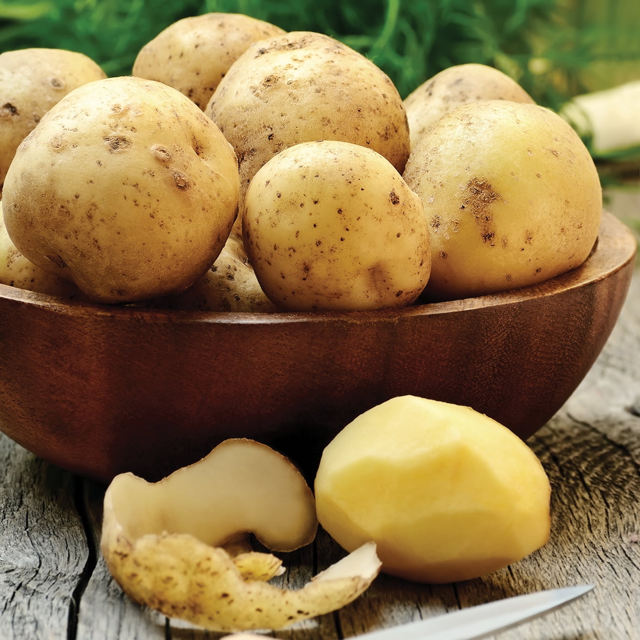 ビンテージ　作家　unknown golden potato object ビンテージ 作家 unknown golden potato object