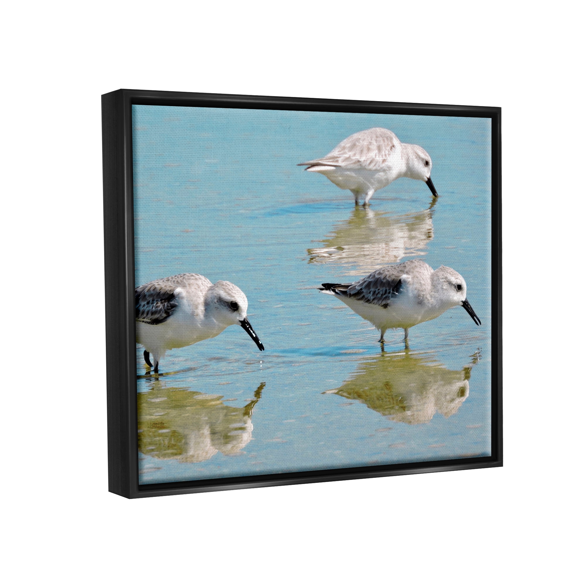 Stupell Industries Sandpipers Shallow Water Reflection Coastal Photography Black Floater Framed Art Print Wall Art