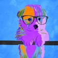 thumbnail image 2 of Villa, Milli 12x12 White Modern Wood Framed Museum Art Print Titled - Puppy Vision V2, 2 of 4