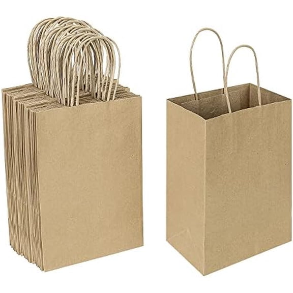 50 Pack 5.25x3.25x8.25 Inch Small Brown Gift Bags with Handles Bulk for Birthday Party Favors Grocery Retail Shopping Business Goody Kraft Craft Paper Bags Cub Sacks (Plain Natural 50 Count)