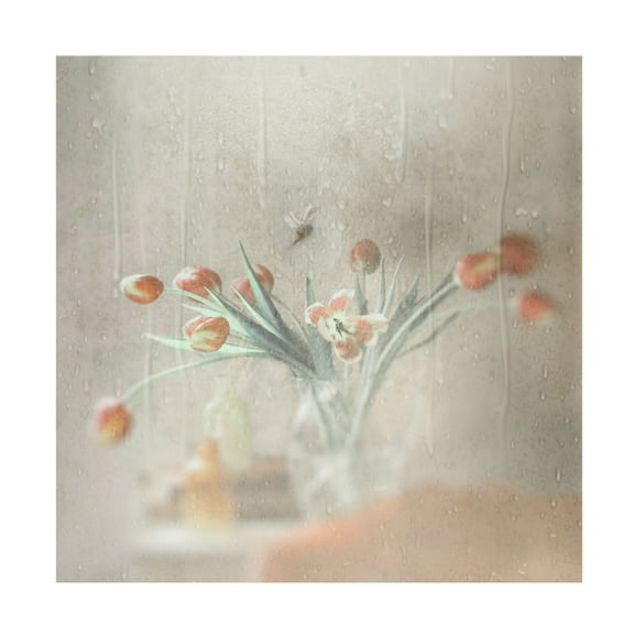 Canvas Wall Art - Gilbert Claes 'Unexpected Rain' Wall Art for Living Room, Bedroom, or Office Décor by Trademark Fine Art - 14 x 14 Inches