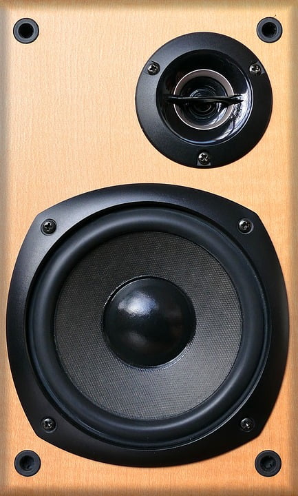 20 inch speaker