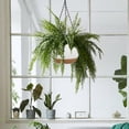 thumbnail image 5 of 2 Pack 10 Inch Hanging Planter, Self Watering Plant Pot Hanging Baskets Holder Plants with Drainage Holes & Removable Tray for Garden Home-White, 5 of 8