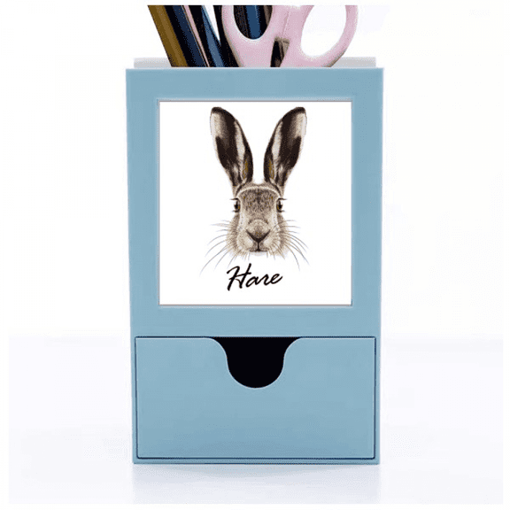 Grey Big-nosed Hare Animal Desk Supplies Organizer Pen Holder Card