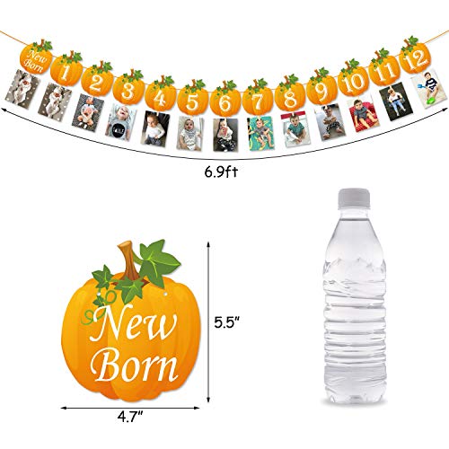 Pumpkin Photo Banner Newborn to 12 Months Banner 1st Birthday
