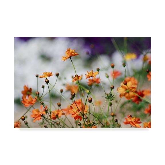 Trademark Fine Art 'Garden Conversations' Canvas Art by Incredi