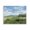 Serene Countryside Horizon Landscape, variant on Stupell Industries Thank You Nature Landscape Canvas Wall Art, design by Lanie Loreth