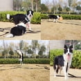 thumbnail image 5 of Correa de entrenamiento para perros ajustable de 20/30 pies con agarre cómodo para caninos pequeños a grandes - Correa negra., 5 of 5